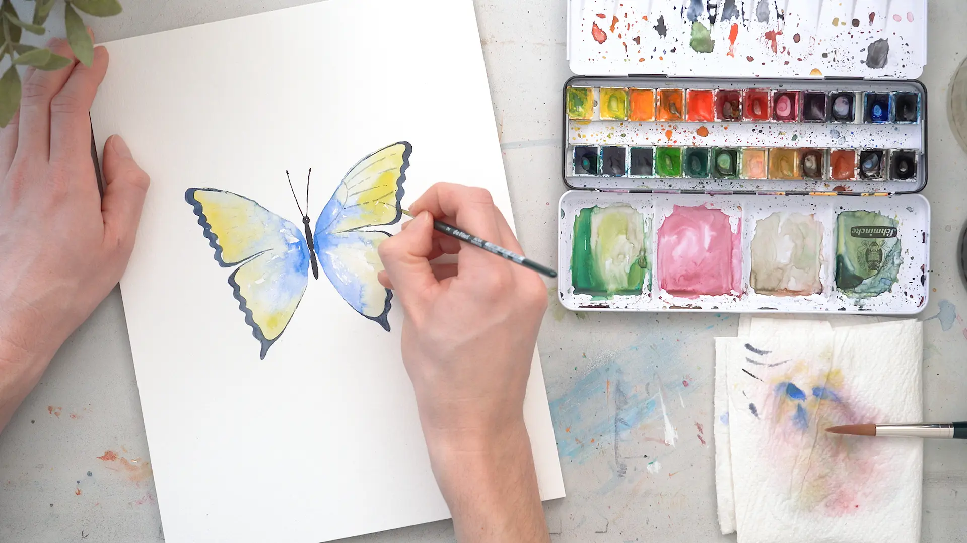 Blaugelber Schmetterling Abbildung