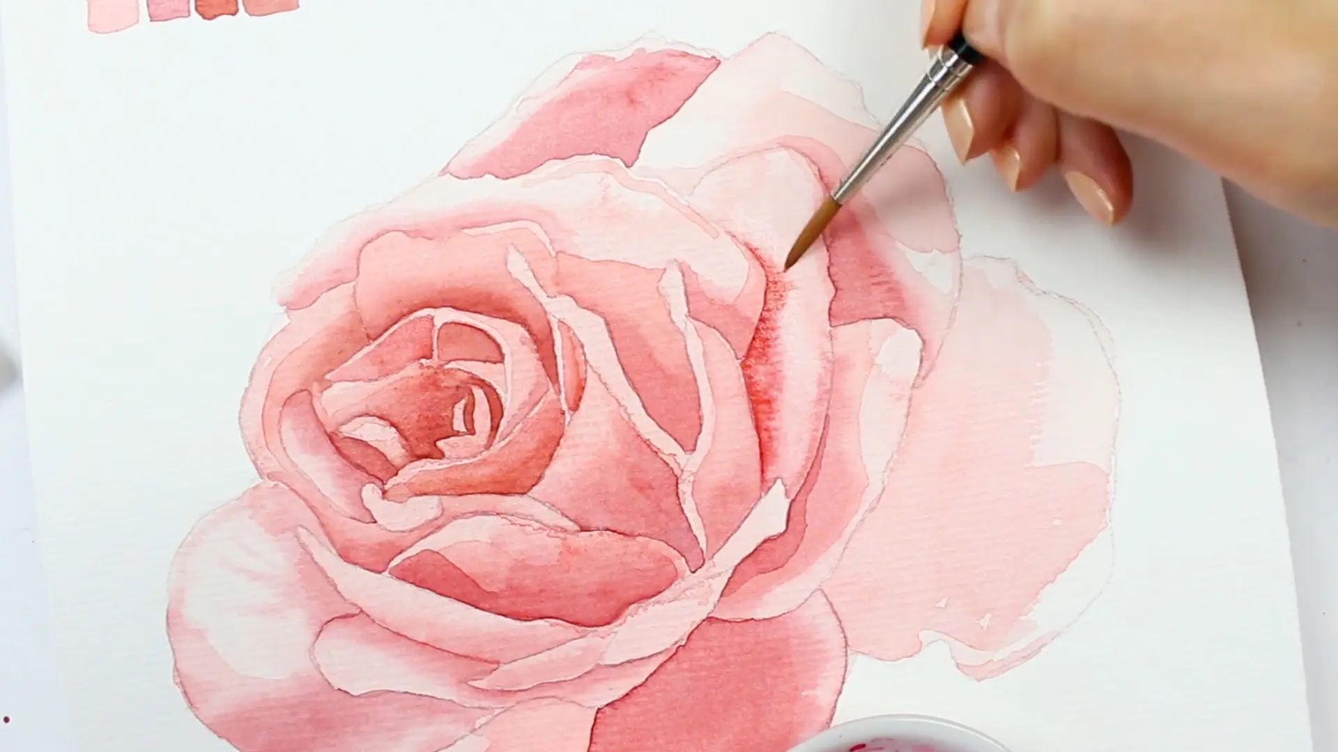 Rose Abbildung