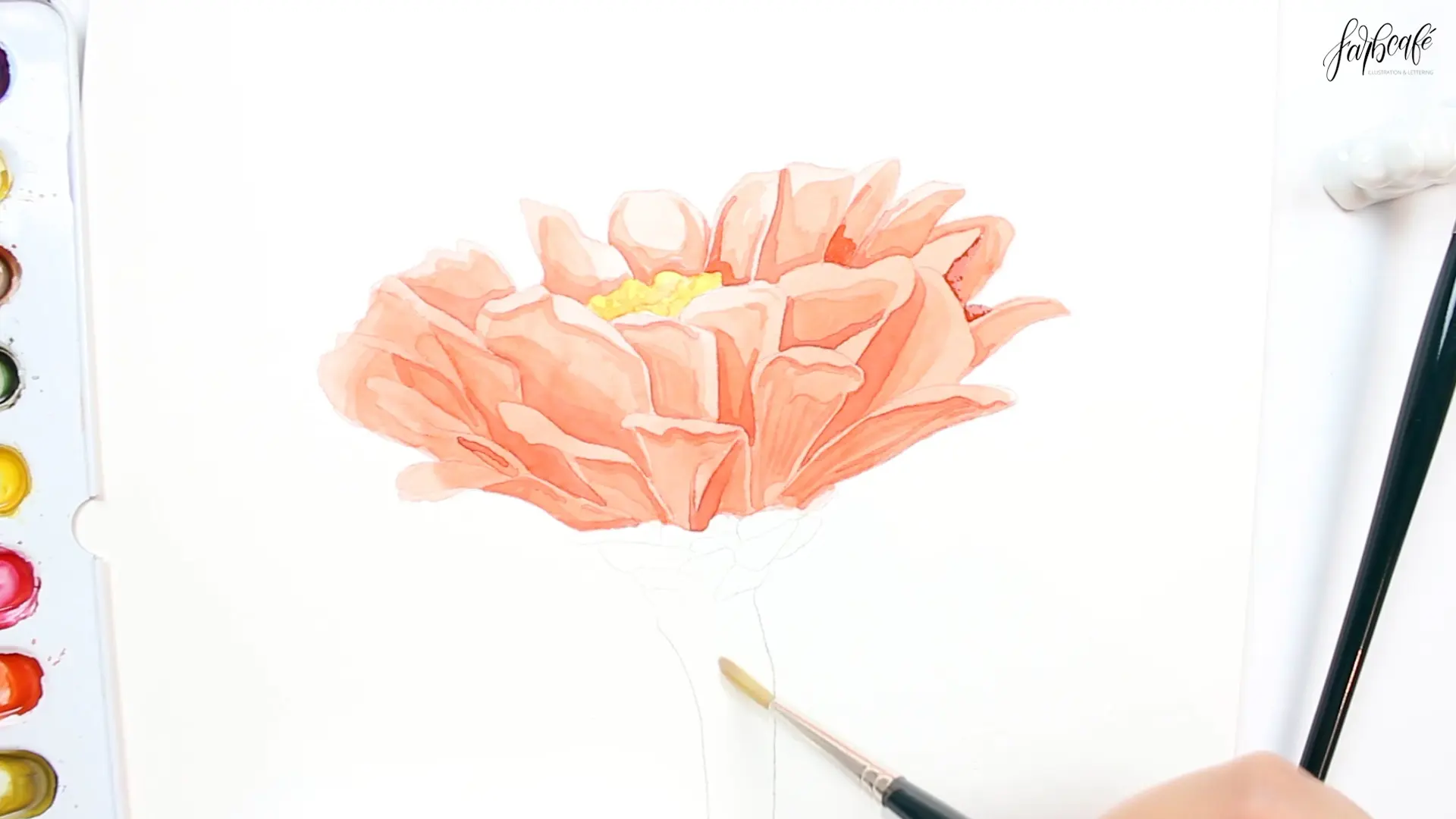 Zinnia Abbildung