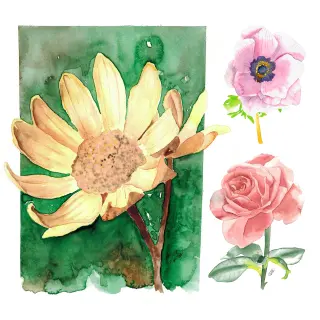 Aquarell-Blumen malen