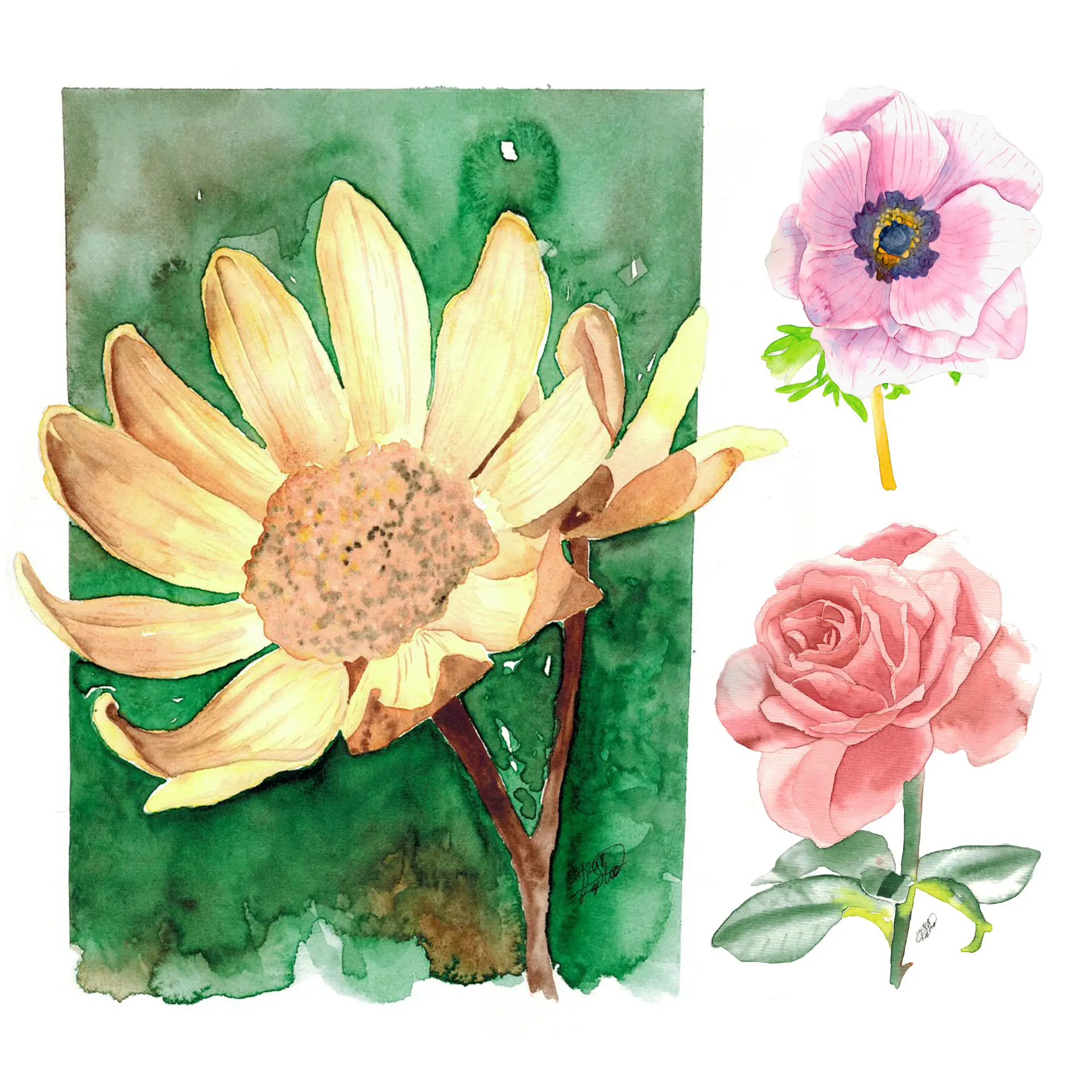 Aquarell-Blumen malen Abbildung